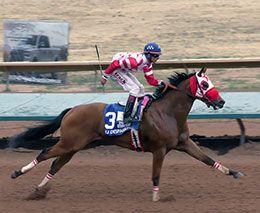 All-Time Leading Money Earner Kj Desparadp is out of the Tres Seis mare Tres Veses.