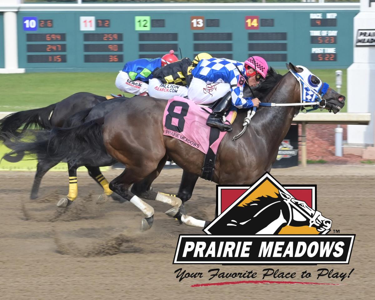Prairie Meadows Challenge Stakes Put Championship Berths On The Line Saturday Night