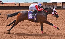 Jockey Luis Martinez rode Space Cowwboyy to a two-length win the second trial on Friday at Ruidoso Downs.