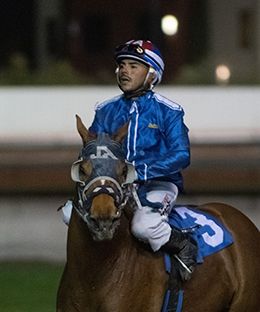 Los Alamitos