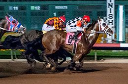 Winners Share, under jockey Jose Nicasio, set the fastest time in the $175,000 Governors' Cup Derby(RG2) trials Saturday night at Los Alamitos.