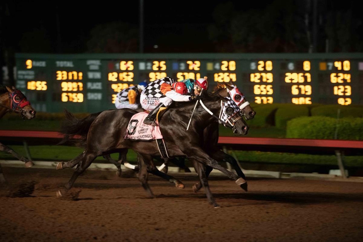 A Slew Of Stakes Winners Headline Sgt Pepper Feature On Saturday