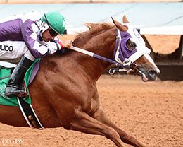 Aj Remember Me, under jockey Juan Pulido, won the 10th trial on Friday at Ruidoso Downs.