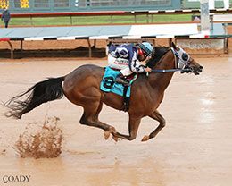 Two-time Grade 1 winner Fdd Dreams, under jockey Luis Martinez, qualifying in the opening trial.