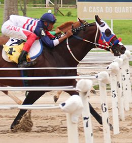 Polo Fantastic won the third trial of the GP Taça de Ouro.