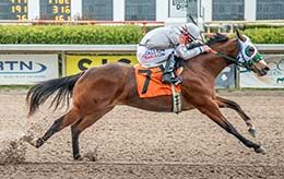 She The Ceo, under jockey Bryan Candanosa, qualified in the sixth trial Friday.