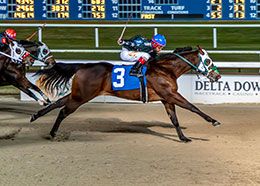 Laddie Futurity(RG2) winner Gold Gun Z qualified in the tenth trial on Friday at Evangeline Downs.