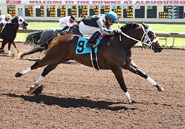 Dee Favorite Tacha, under jockey Jesse Levario, got the third fastest clocking in Trail 3.