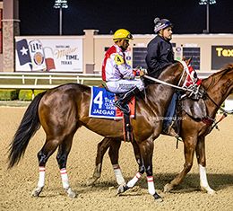 Myriam Maynard/ SPEEDHORSE
