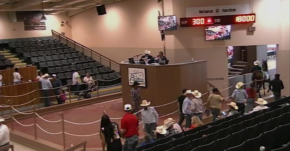 Ruidoso Horse Sale Company