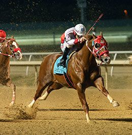 Dustin Orona Photography/Lone Star Park