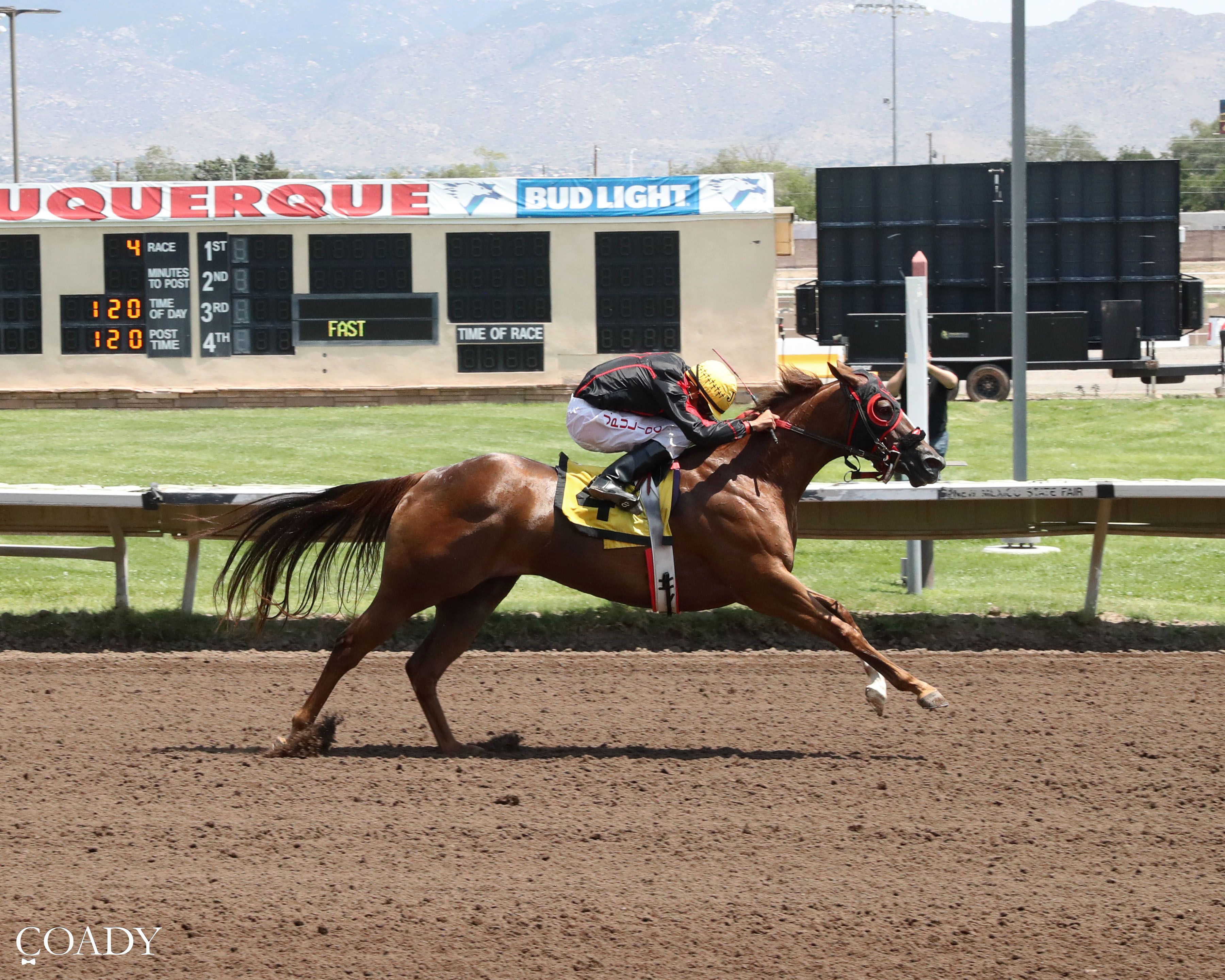 StallioneSearch All American Oaks(G1) Trials Recap Coverage (VIDEO)