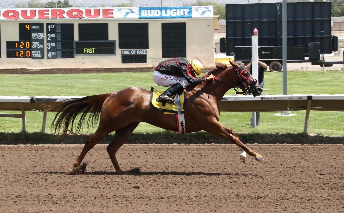 StallioneSearch All American Oaks(G1) Trials Recap Coverage (VIDEO)