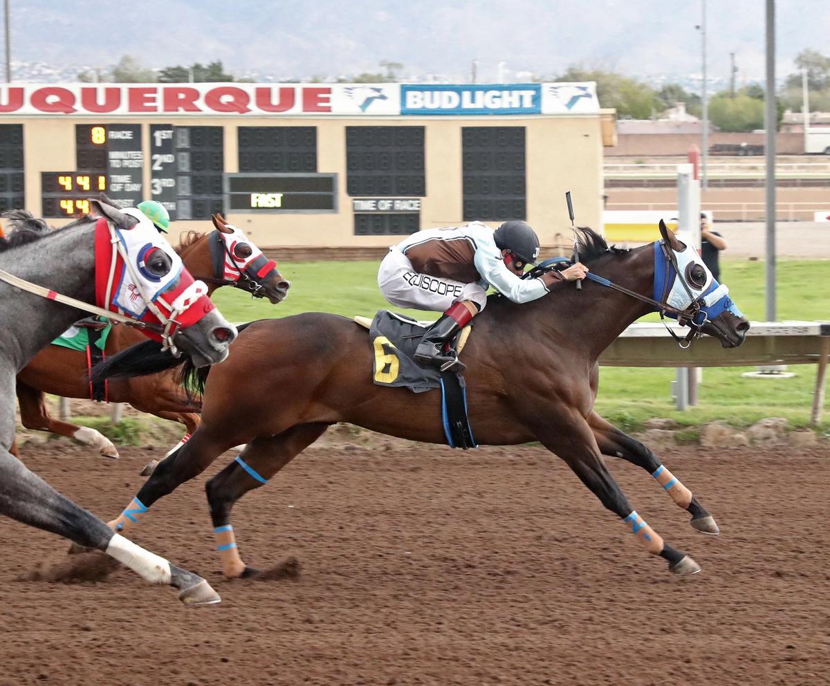 Pour Me a Drinkk Captures $430,627 New Mexico State Fair Quarter Horse Derby at Albuquerque