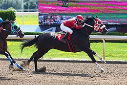 Jockey Carly Furlonger rides Rbybybaby in the opening trial Sunday.