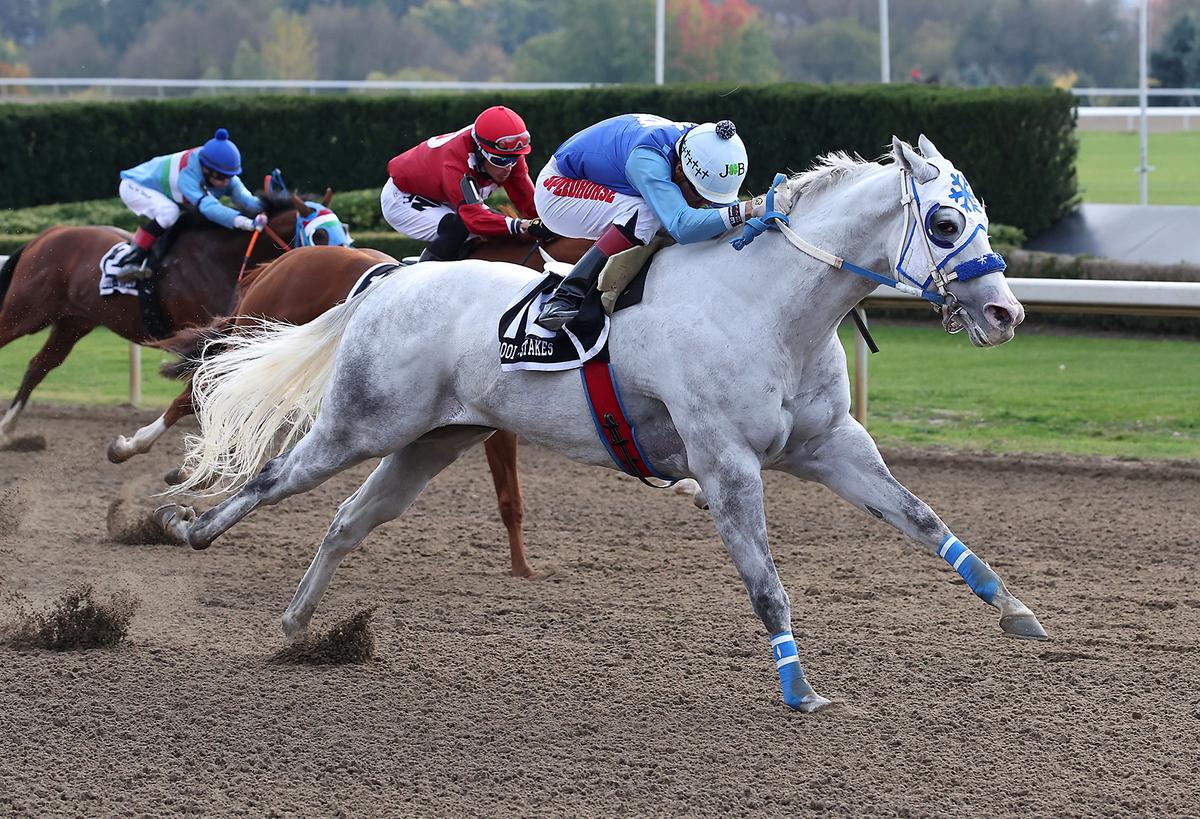 Snow Moose Extends Winning Streak To Three In Alex Picov Memorial Championship Maturity