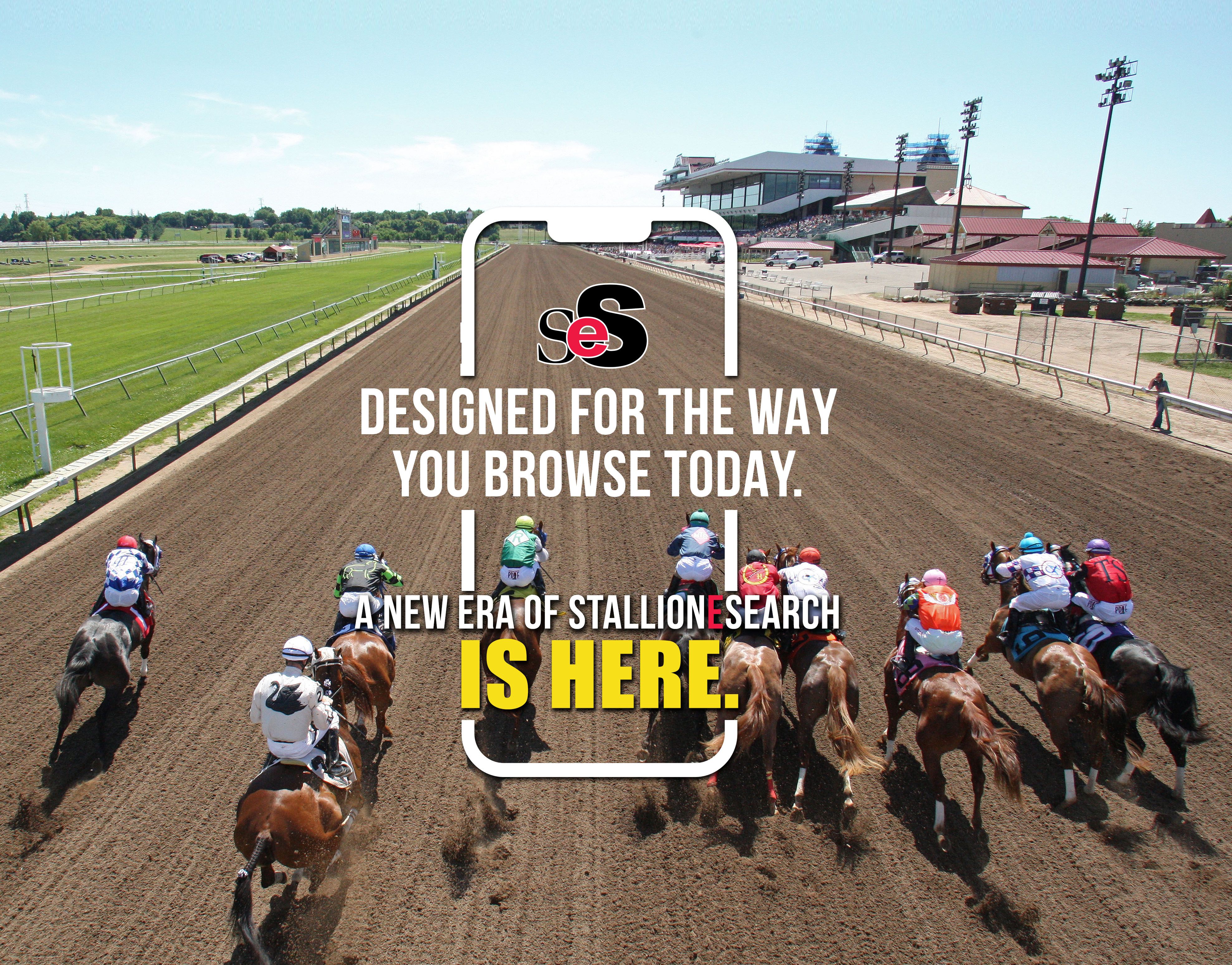 StallioneSearch.com Launches Next-Generation Website for Quarter Horse Racing Industry