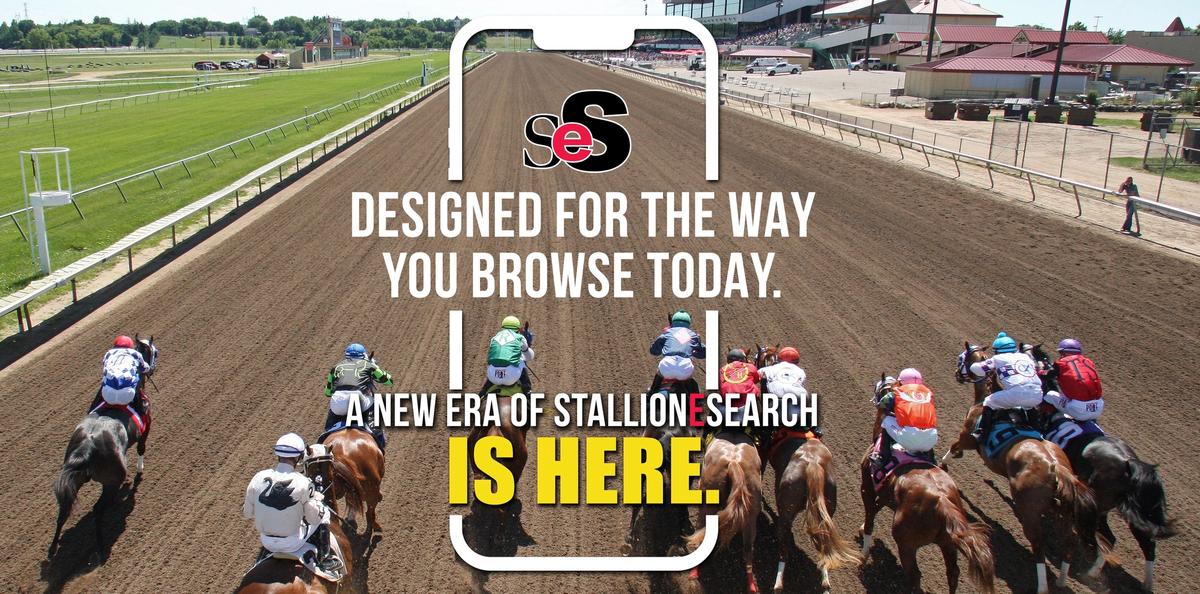 StallioneSearch.com Launches Next-Generation Website for Quarter Horse Racing Industry