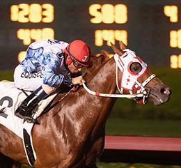 Buckway Ranch's two-time Grade 1-placed Ultimate Battle will race in Saturday's trials.