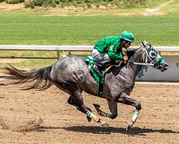 Gatlan, with Guadalupe Lucio, Jr aboard, won the second Big Easy Futurity Trial of the day with a time of 18.174 at the Fair Grounds in New Orleans, LA.