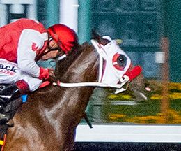 Los Alamitos