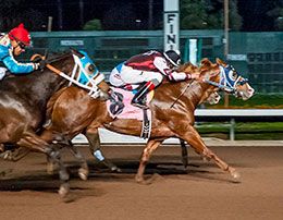 Mr Apollitical Dash defeating Kissed By An Eagle and Lotta Blues Man in the Grade 1 Southern California Derby at Los Alamitos Race Course.