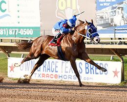 El Tartanero, under jockey Ali Rivera, winning the $53,250 Sam Houston 250 Stakes at Sam Houston Race Park.