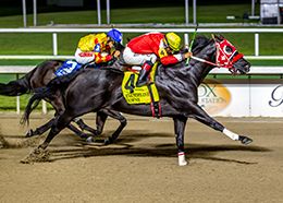 Hodges Photography