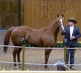 Heritage Place Sale Company