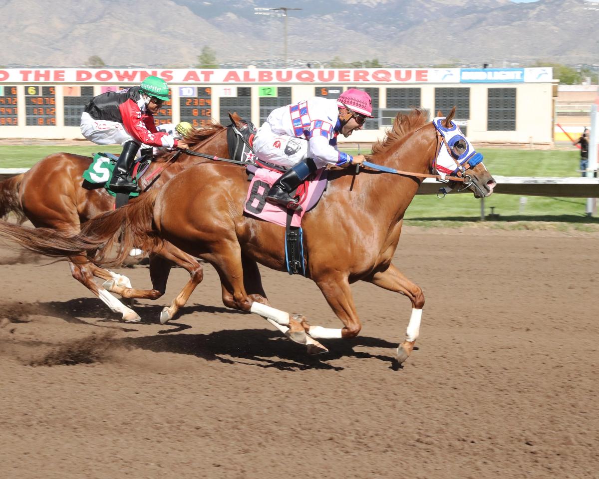 Ajs Wingman Earns First Stakes Victory In $100,000 All American Invitational