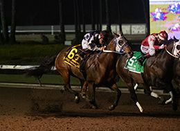 Los Alamitos