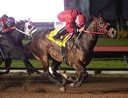 Toby Sis, under jockey Francisco Calderon, qualified in the second trial Sunday night.