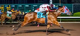 Unmarked (outside) under jockey Henry Lopez holds on to win the opening trial on Sunday night.