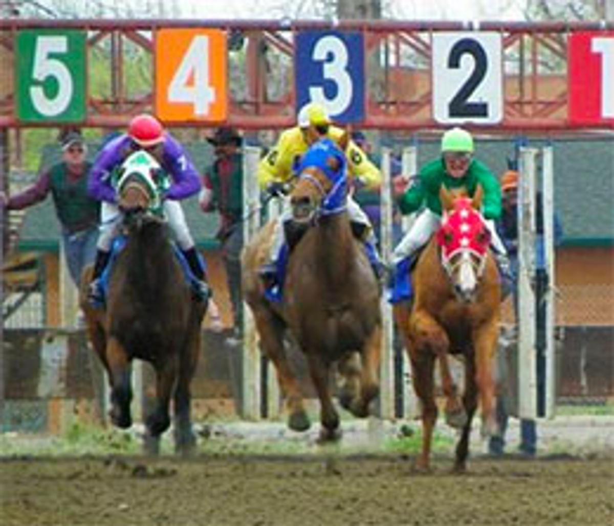 Bhr Relentless Prevails In SD Bred QH Futurity at Fort Pierre