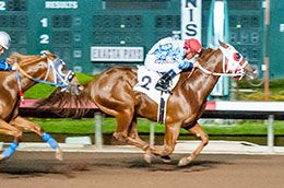Ultimate Battle, under champion jockey James Flores, winning the sixth trial.