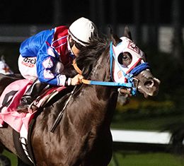 Los Alamitos