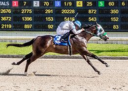 Luziana Man, under jockey Noe Castaneda, posted the second fastest clocking in the opening trial.