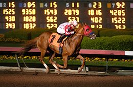 Los Alamitos