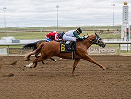 Coady Photography, Ltd.