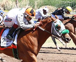 Desert Classic Futurity winner You Cant Drive 95.