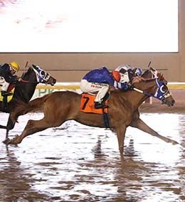 Dustin Orona Photography/Remington Park