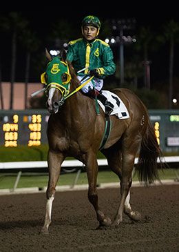 Golden State Derby winner Favorite Jesshawk and jockey Ricardo Ramirez return on Saturday at Los Alamitos.