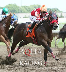 AQHA