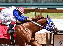 Lets Leave, winner of the 2023 $1-million Ruidoso Futurity entered stud this year.