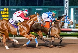 Vyper, under jockey Crus Medez, posted the second fastest time over fellow qualifier Heavily Favored in Race 11.