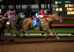 Cowgirl Upp, under jockey Jesus Ayala, set the second fastest time for the Golden State Derby.