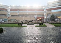 Dustin Orona Photography/Lone Star Park