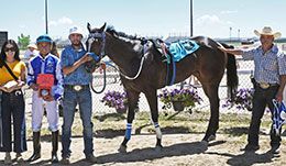 The winning connections of Pyc Gloria accept the Ron Cook Memorial Maiden Stakes buckles at Energy Downs.