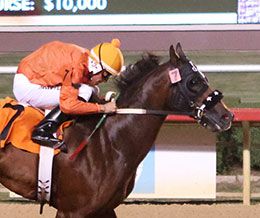 Fastest qualifier Jessies First Card will head the $421,500 Dash For Cash Derby (G2) on Lone Star Park's Saturday card.em>