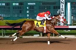 Hott Temptation, under jockey Justine Klaiber, secures the final qualifying spot with a dominating win in the closing trial Saturday.